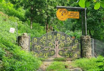 The Tree Organic Farm and Stay - Non Alcoholic Property has Balcony rooms