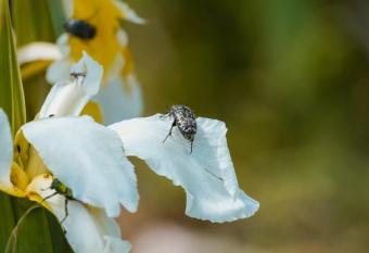 Kuca za odmor Mila has Balcony rooms
