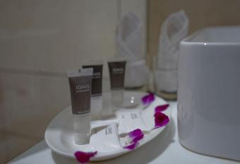 The Chinar Resort & Spa, Srinagar has rooms with a private hot tub