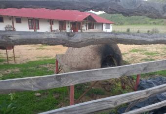 Casa de campo la herradura has Smoking/Balcony rooms
