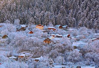Friendly House allows 18 year olds to book a room