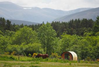 Ptarmigan allows 18 year olds to book a room