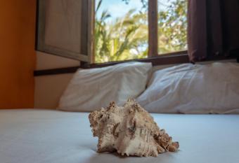 Uvita River Guesthouse allows 18 year olds to book a room