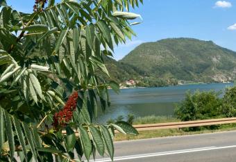 Dijanin Konak has Balcony rooms