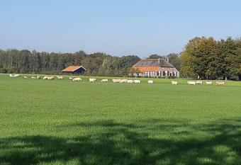 B&B Joostink in Vorden has Balcony rooms