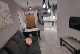 Apartament Helsinki Jastrz  bia G  ra has Balcony rooms