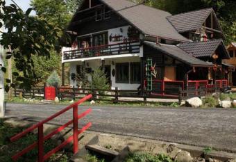 Pensiunea Casa cu amintiri has Balcony rooms