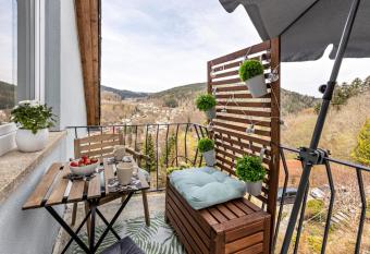 Ferienappartement Sonnenhof allows 18 year olds to book a room