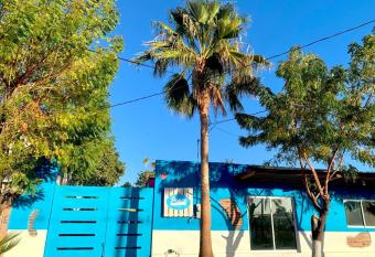 Peace Hostel MX allows 18 year olds to book a room