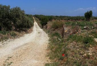 La Casa al Ficus has Balcony rooms