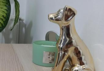 Dove Apartment has Balcony rooms