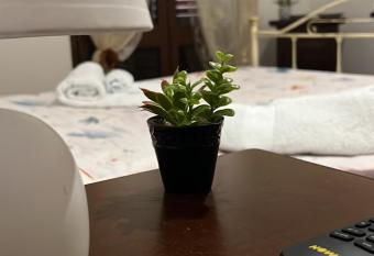 Il Gabbiano Home has Balcony rooms