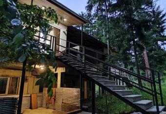 Wonderful olesya has Balcony rooms