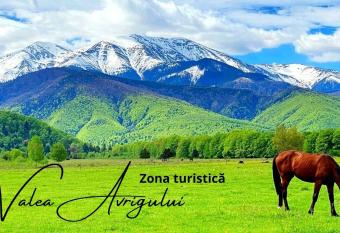 Casa EDU has rooms with a private hot tub