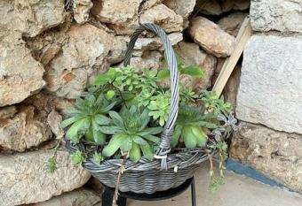 Maria s place has Balcony rooms