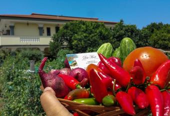 residenceduemari allows 18 year olds to book a room