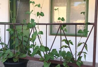 Nest Apartman has Balcony rooms