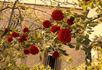 Room Anka Lovran allows 18 year olds to book a room