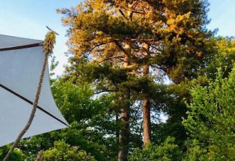 Dans maison de charme, bel appartement privatif has Balcony rooms