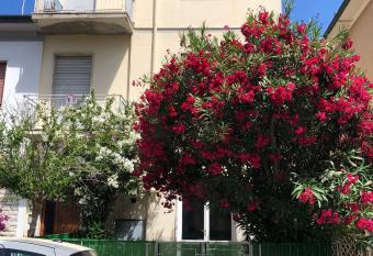 App. piano terra con giardinetto e stabilimento balneare incluso has Balcony rooms