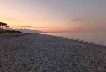 Maison    200m de la mer, 10 mn de l a  roport de Bastia avec sur place un Snack avec acc  s piscine gratuit pour la client  le has Balcony rooms