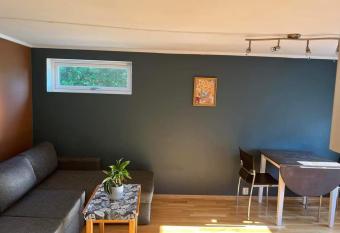 FeelHome small 1 bedroom apartment Polar vegen allows 18 year olds to book a room