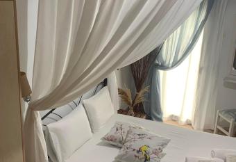 Mary s apartment has Balcony rooms