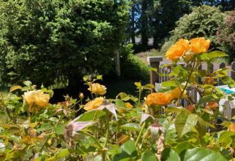 Coastal Studio has Balcony rooms