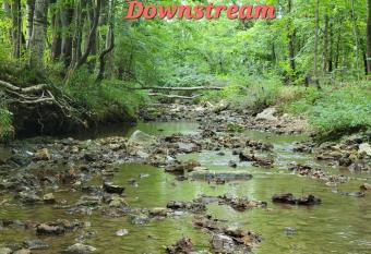 Echo Valley Outdoor Oasis Campsite allows 18 year olds to book a room