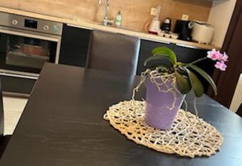 Apartma Bohinj has Balcony rooms