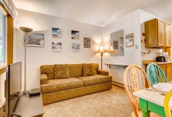 Economical, Cozy Condo Near Main St Access to Spacious Lobby, Hot Tubs PM5B allows 18 year olds to book a room
