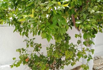 2 Bedroom Villa City Centre Beach Access has Balcony rooms