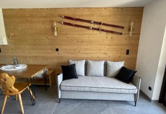 Morzine : bel appartement    5 mn du t  l  ph  rique allows 18 year olds to book a room