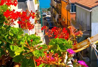 sandy beach has Balcony rooms