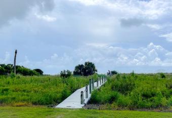 A Wave From It All has Balcony rooms