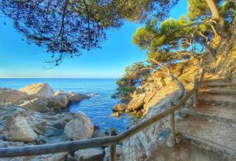 Direct beachPetfriendly by Rinconesmediterraneos allows 18 year olds to book a room