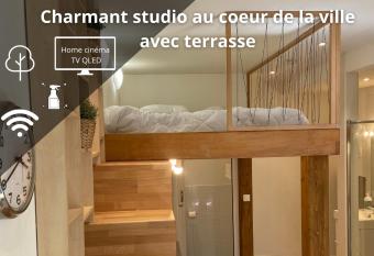 Charmant studio avec terrasse au c  ur de Nancy allows 18 year olds to book a room