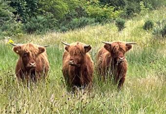Ben Nevis Manor Lodge allows 18 year olds to book a room