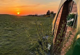 Pant y Rhedyn Glamping and camping site has Balcony rooms