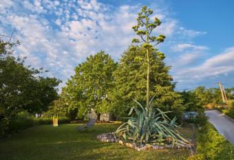Apartma Pic Ros has Balcony rooms