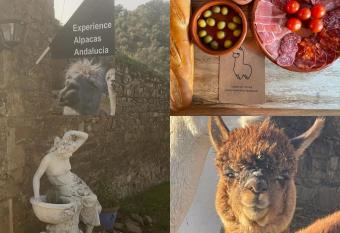 Experience Alpacas in Andalucia has Balcony rooms