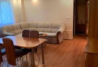 Vlad s Studio has rooms with a private hot tub