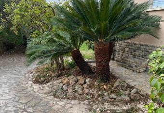 Il giardino delle Cycas allows 18 year olds to book a room