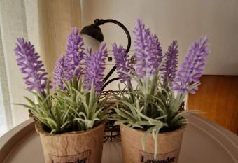 Levanda House has Balcony rooms