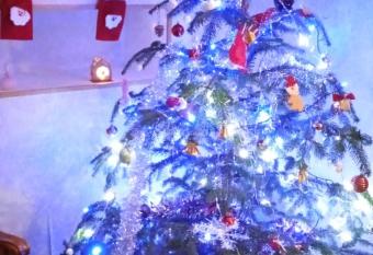 HOTEL IN RACHA has Balcony rooms