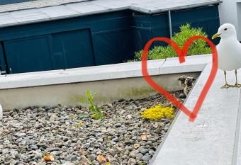 Apartment M  venkoje f  r 1-2 Personen mit Pool has Balcony rooms