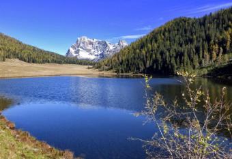 Appartamento Vanoi nel cuore verde del Trentino has Balcony rooms