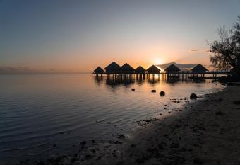 Le Charme Polyn  sien proximit   plage et commerces allows 18 year olds to book a room