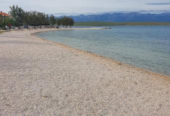 New apartment Vir, 200m from beach has Balcony rooms