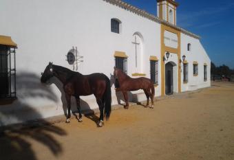 Hacienda La Indiana allows 18 year olds to book a room